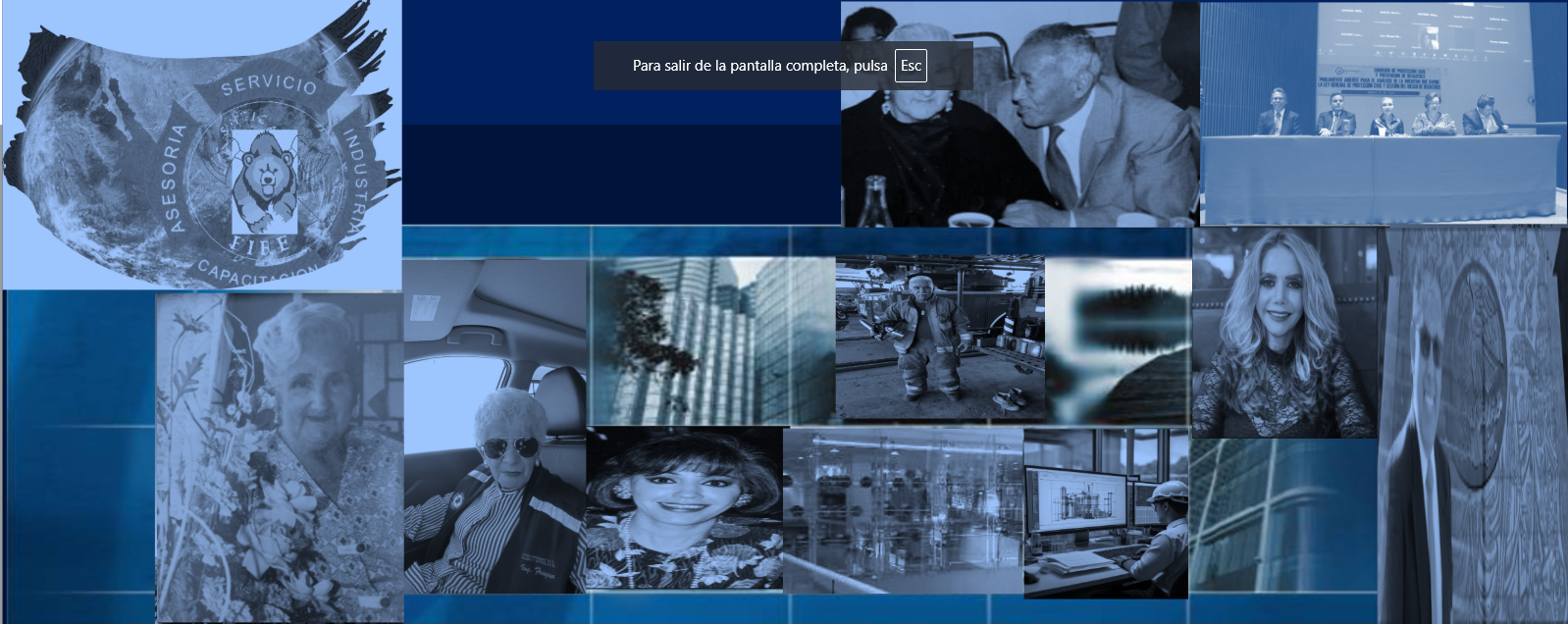 profile-banner